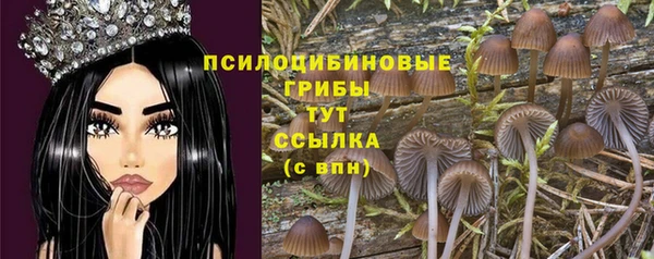 амфетамин Алексеевка