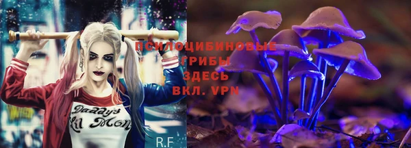 амфетамин Алексеевка