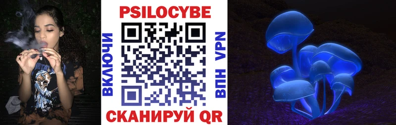 Псилоцибиновые грибы мухоморы  нарко площадка официальный сайт  Гаврилов Посад 
